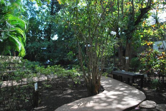 Jardin Botanico X'much Haltun